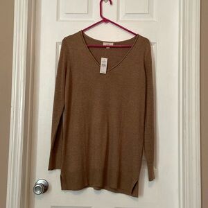 NWT Loft Long Brown Sweater